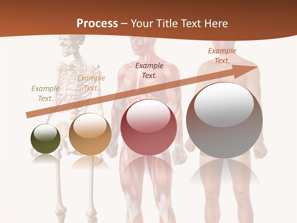 Healthy Lifestyle In A Row Science PowerPoint Template