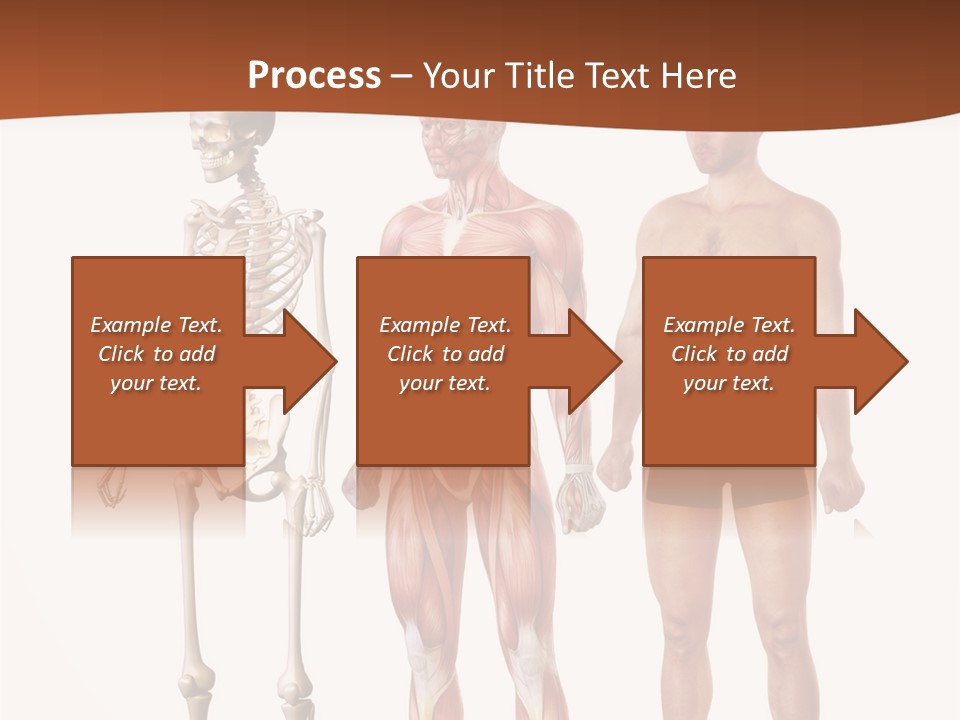 Healthy Lifestyle In A Row Science PowerPoint Template