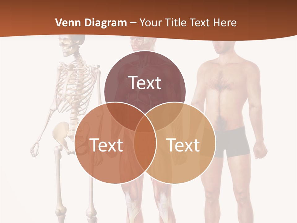 Healthy Lifestyle In A Row Science PowerPoint Template