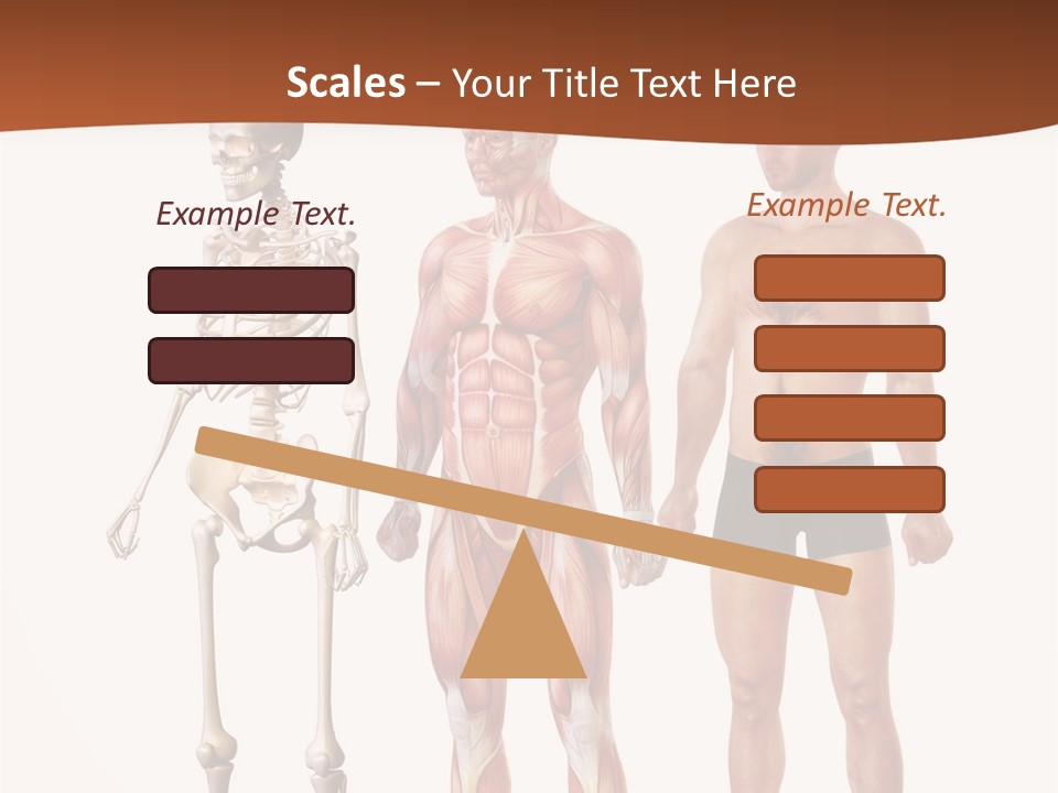 Healthy Lifestyle In A Row Science PowerPoint Template