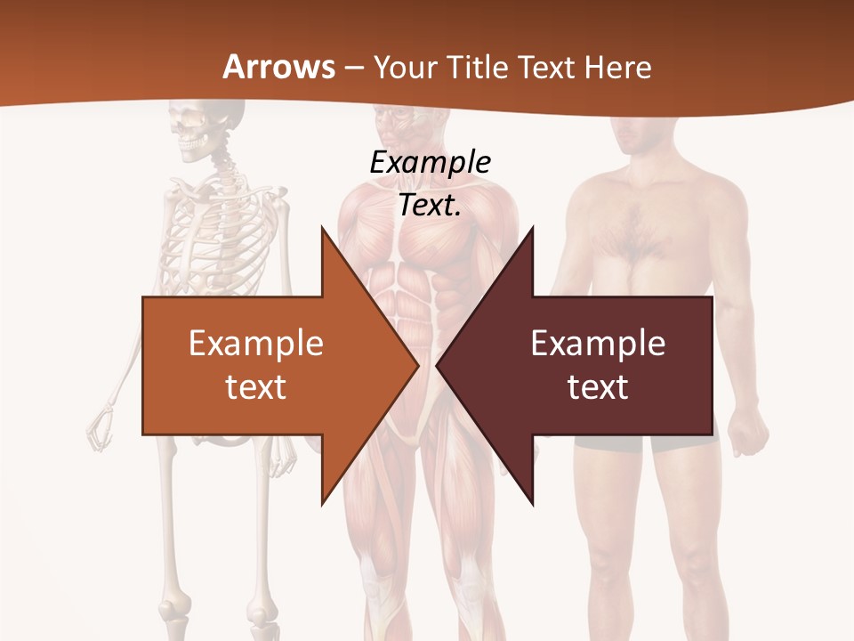 Healthy Lifestyle In A Row Science PowerPoint Template