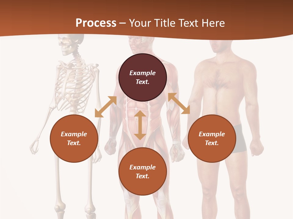 Healthy Lifestyle In A Row Science PowerPoint Template