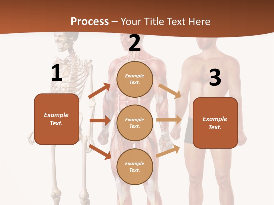 Healthy Lifestyle In A Row Science PowerPoint Template