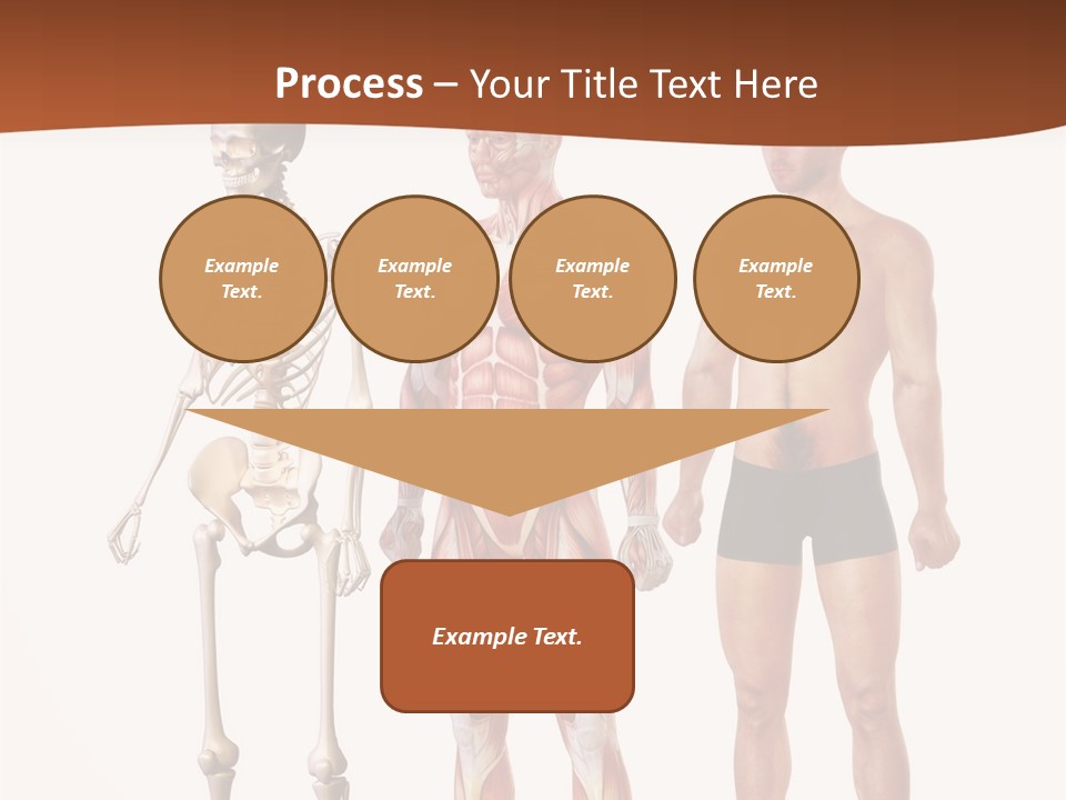 Healthy Lifestyle In A Row Science PowerPoint Template