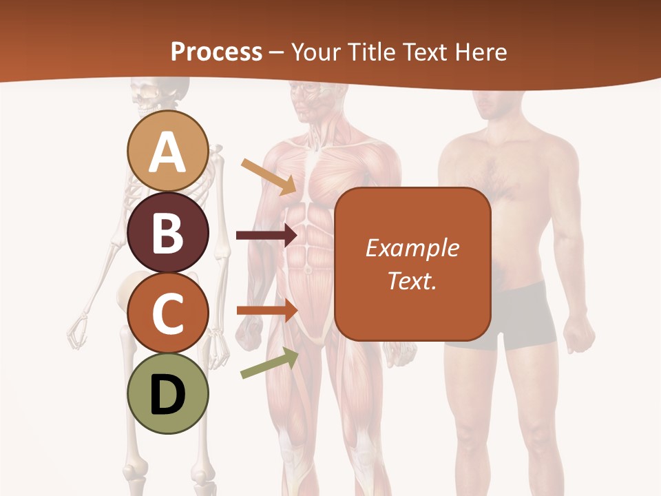 Healthy Lifestyle In A Row Science PowerPoint Template