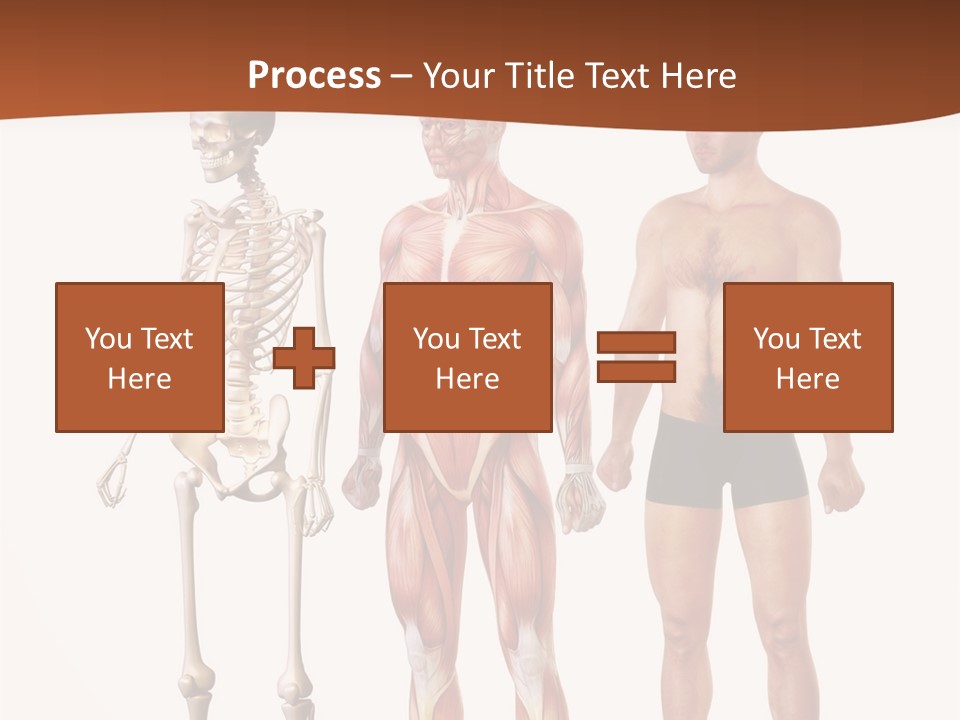 Healthy Lifestyle In A Row Science PowerPoint Template