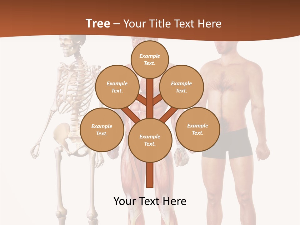 Healthy Lifestyle In A Row Science PowerPoint Template