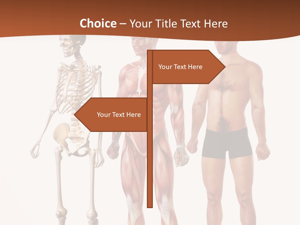 Healthy Lifestyle In A Row Science PowerPoint Template