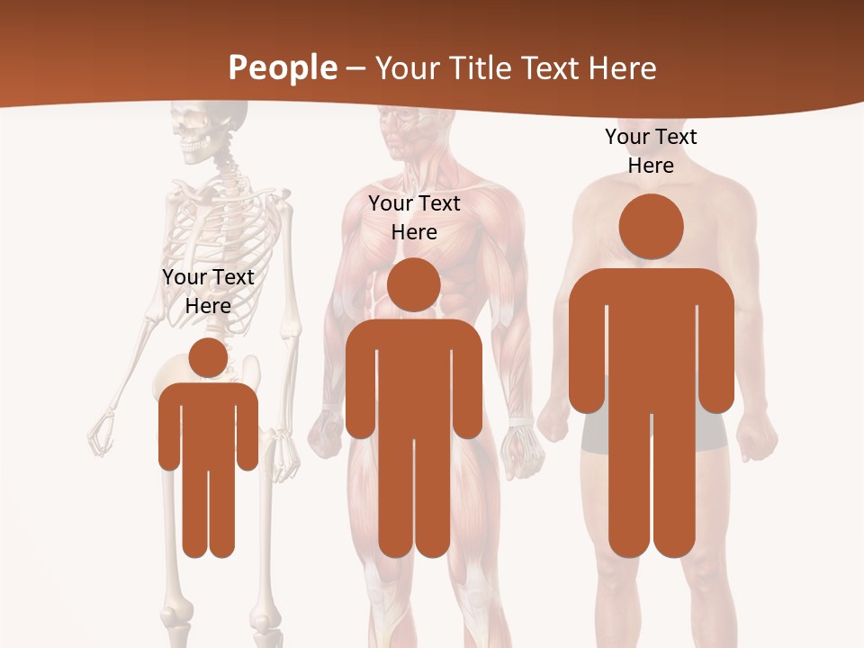 Healthy Lifestyle In A Row Science PowerPoint Template