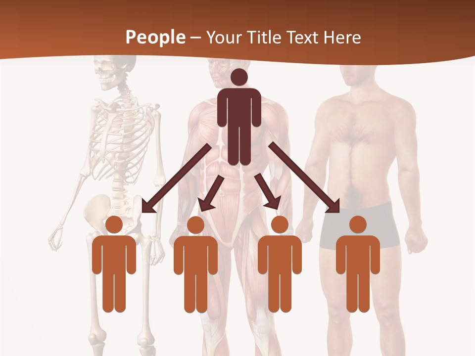 Healthy Lifestyle In A Row Science PowerPoint Template