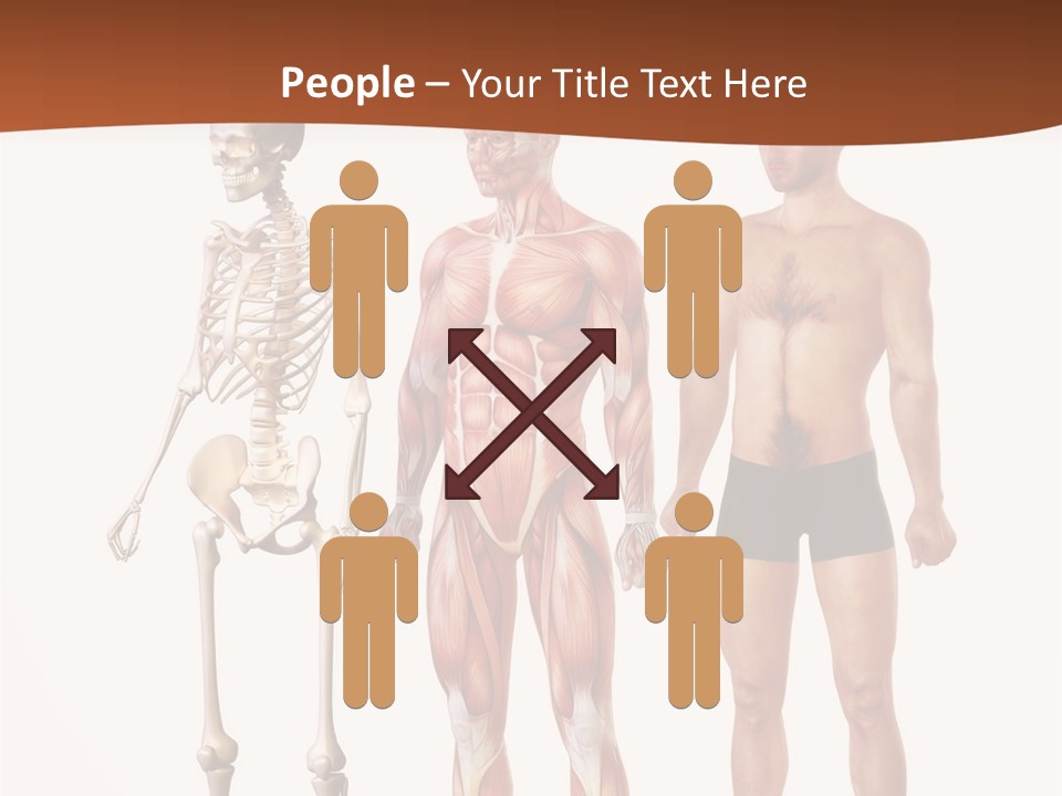 Healthy Lifestyle In A Row Science PowerPoint Template