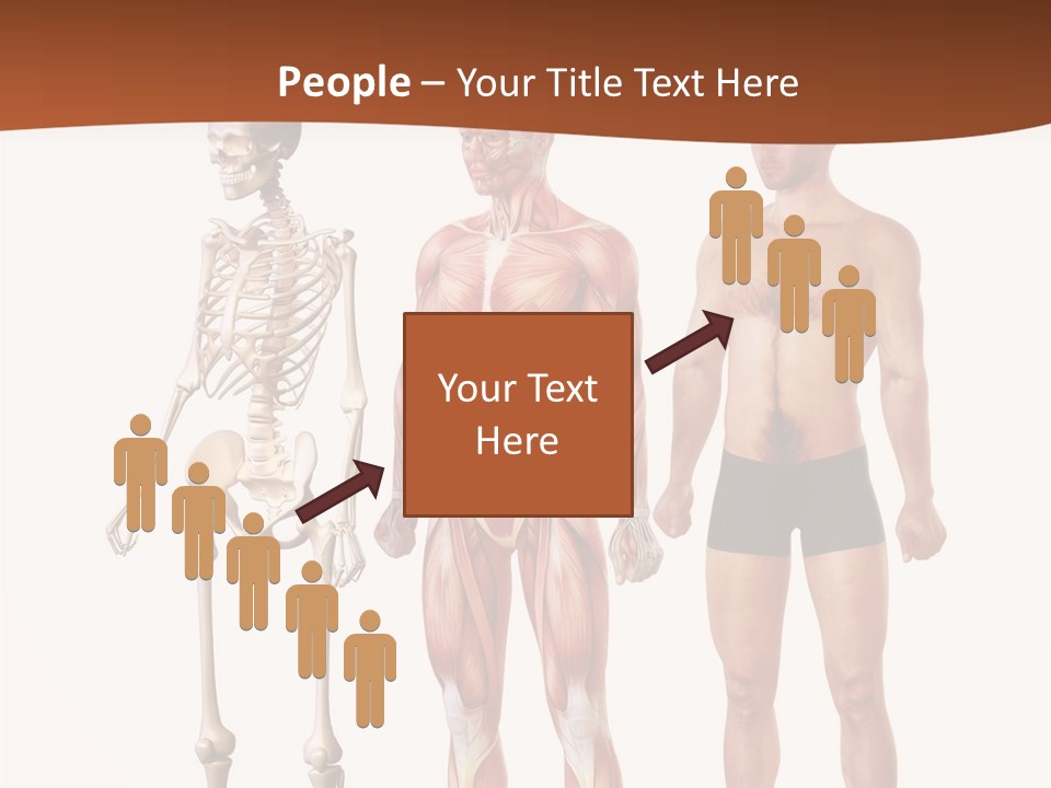 Healthy Lifestyle In A Row Science PowerPoint Template