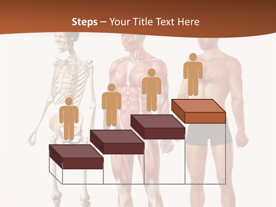 Healthy Lifestyle In A Row Science PowerPoint Template