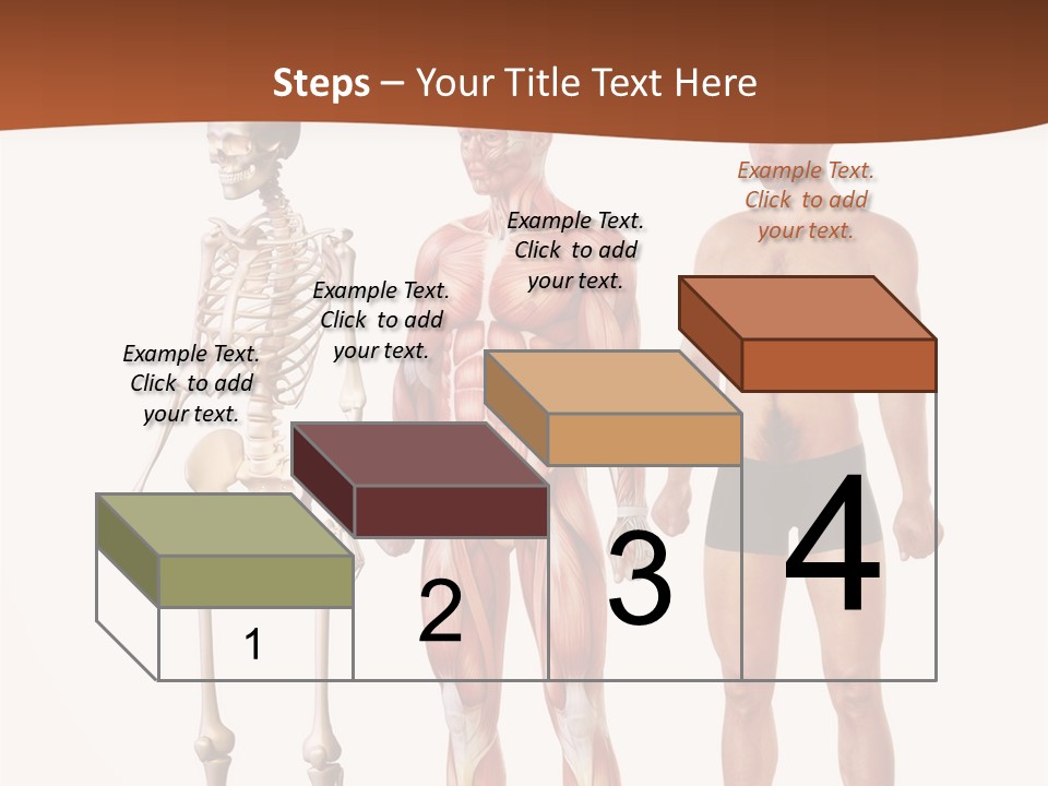 Healthy Lifestyle In A Row Science PowerPoint Template