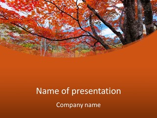 Pond Japanese Maple Orange PowerPoint Template