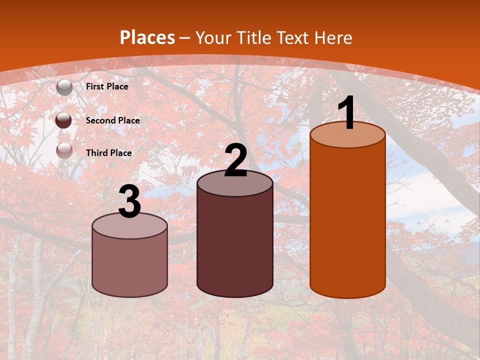 Pond Japanese Maple Orange PowerPoint Template