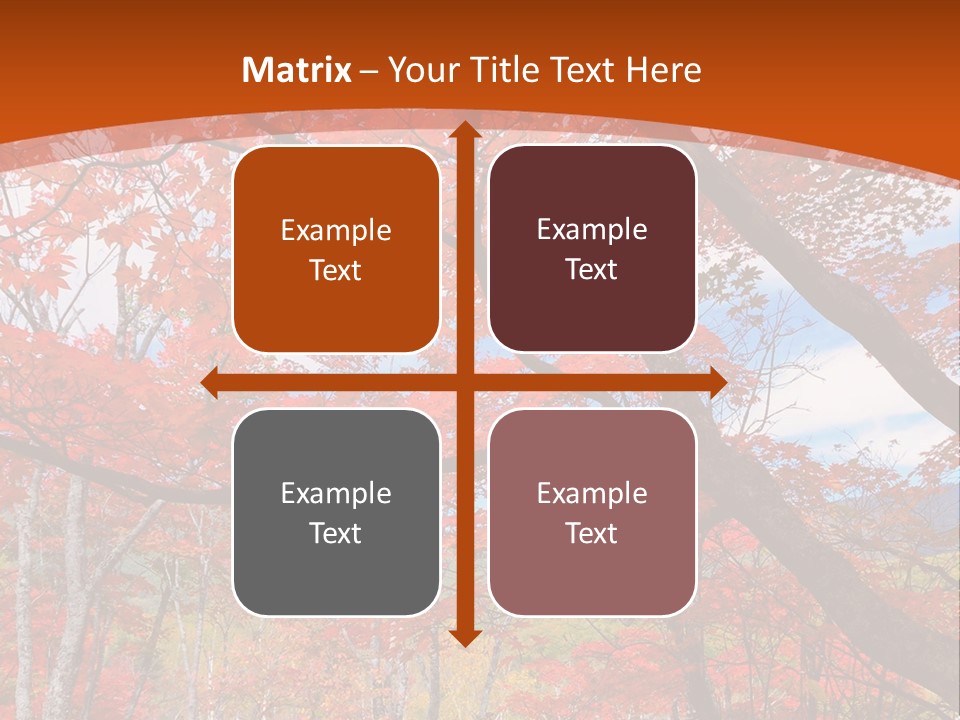 Pond Japanese Maple Orange PowerPoint Template