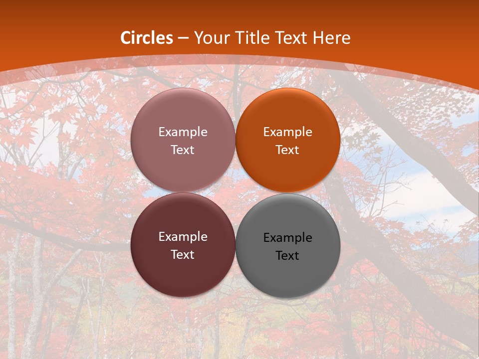 Pond Japanese Maple Orange PowerPoint Template