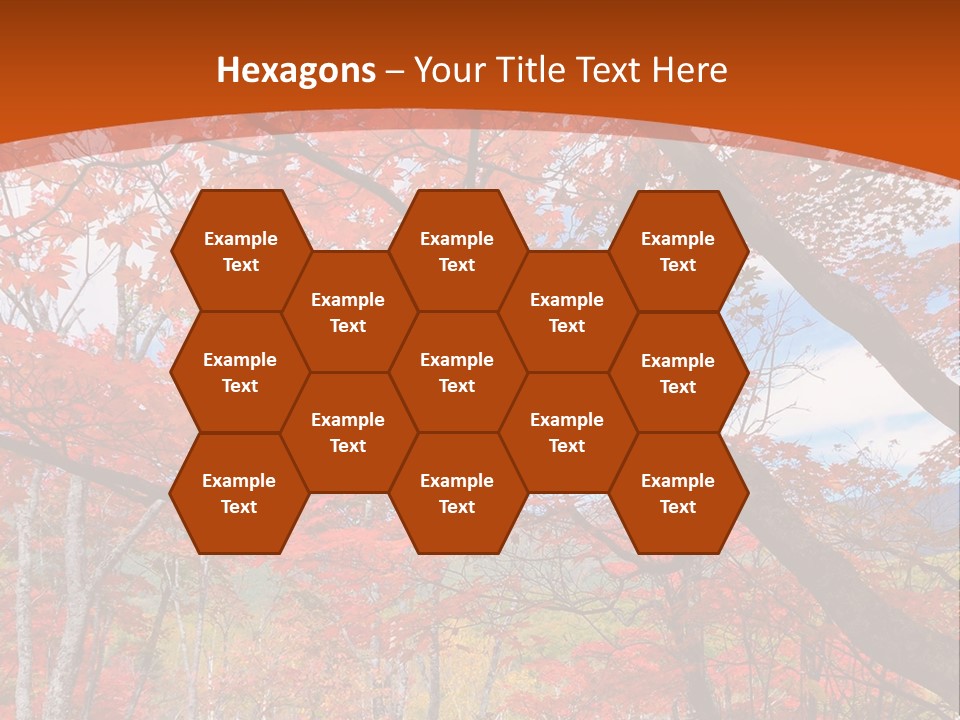 Pond Japanese Maple Orange PowerPoint Template