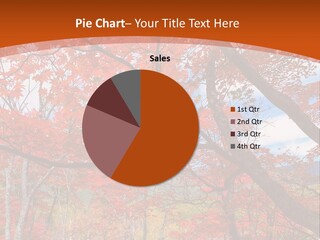 Pond Japanese Maple Orange PowerPoint Template