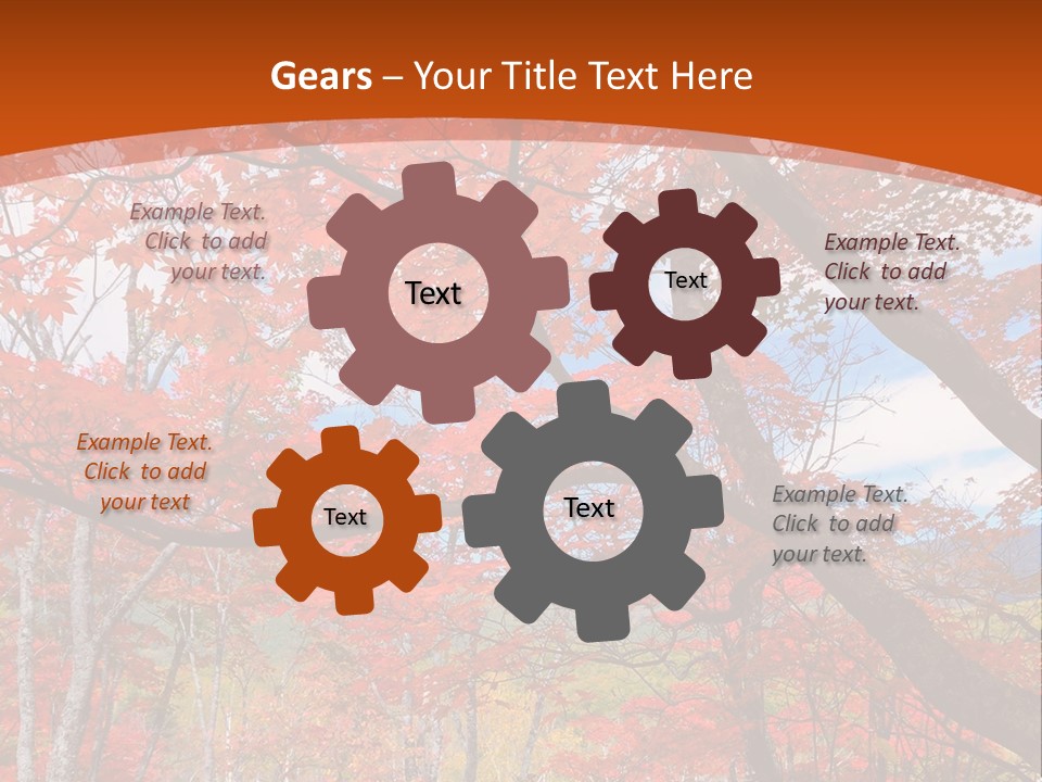 Pond Japanese Maple Orange PowerPoint Template