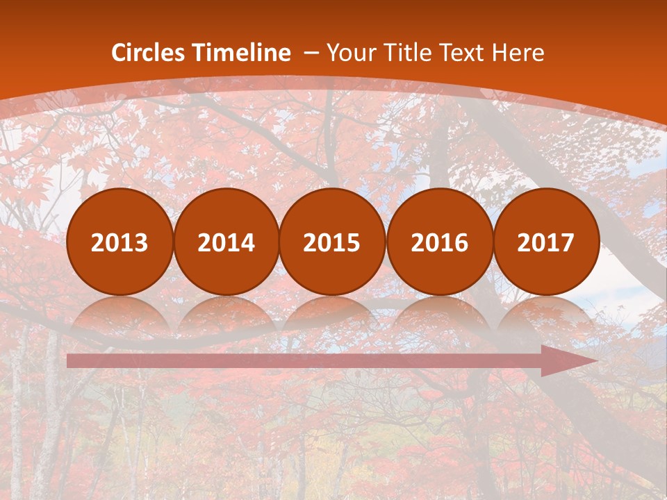 Pond Japanese Maple Orange PowerPoint Template