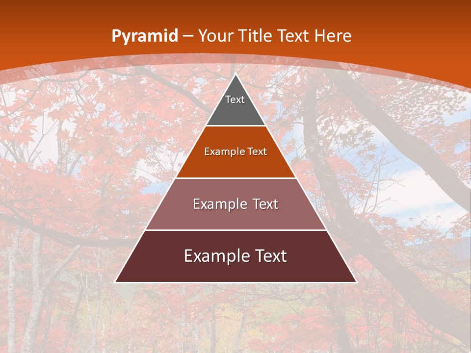 Pond Japanese Maple Orange PowerPoint Template