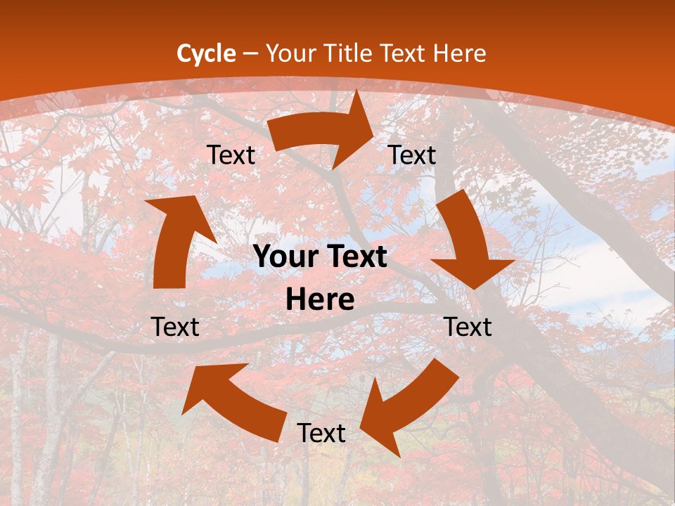 Pond Japanese Maple Orange PowerPoint Template