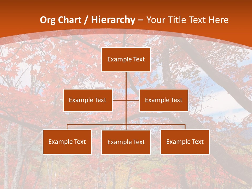 Pond Japanese Maple Orange PowerPoint Template