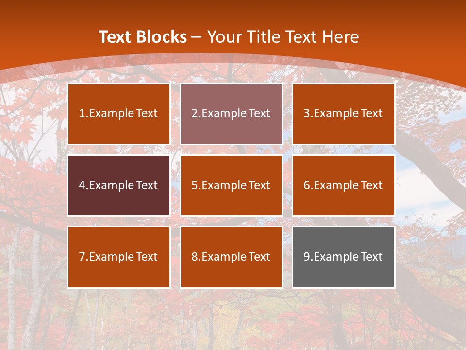 Pond Japanese Maple Orange PowerPoint Template