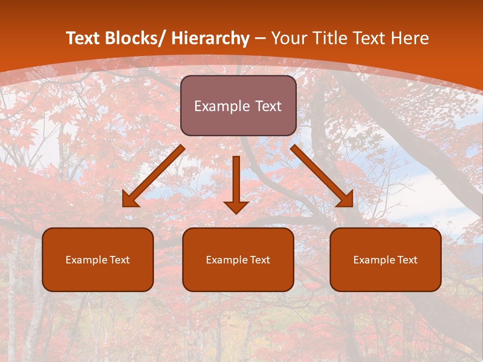 Pond Japanese Maple Orange PowerPoint Template