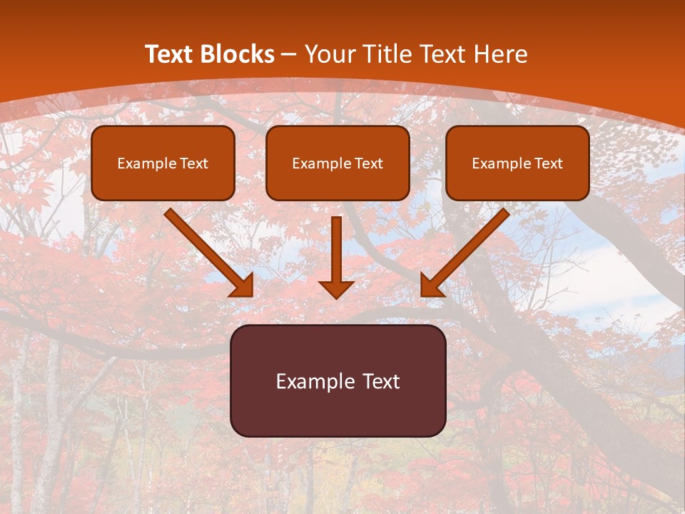 Pond Japanese Maple Orange PowerPoint Template