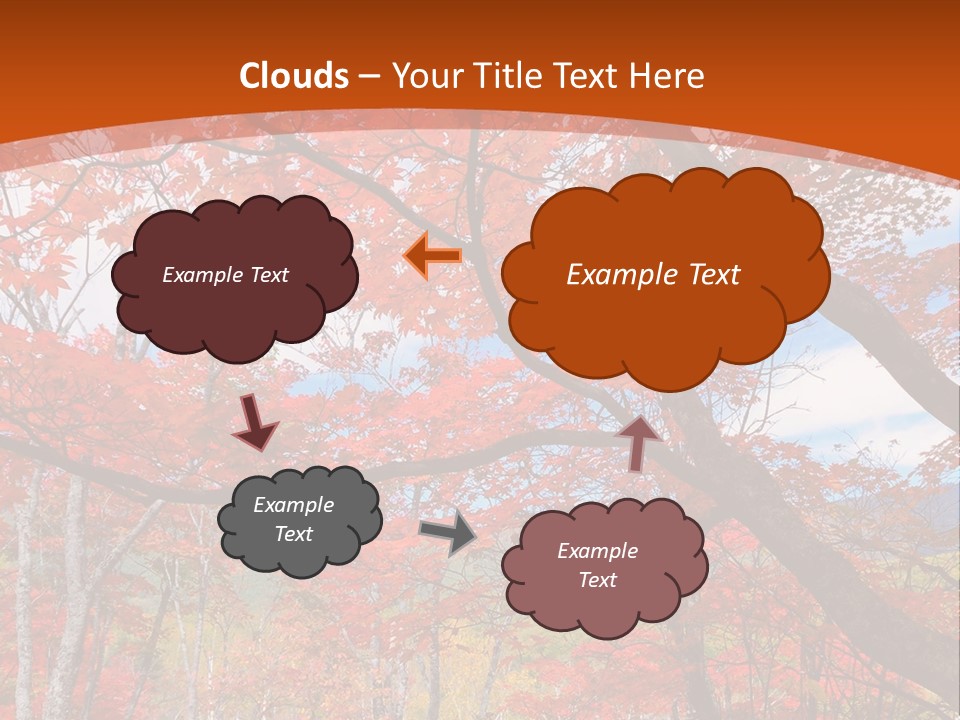 Pond Japanese Maple Orange PowerPoint Template