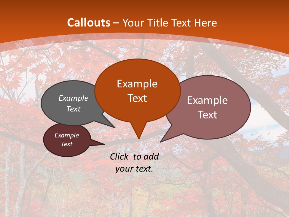 Pond Japanese Maple Orange PowerPoint Template