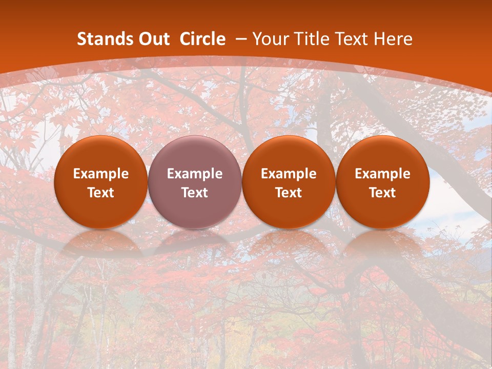 Pond Japanese Maple Orange PowerPoint Template