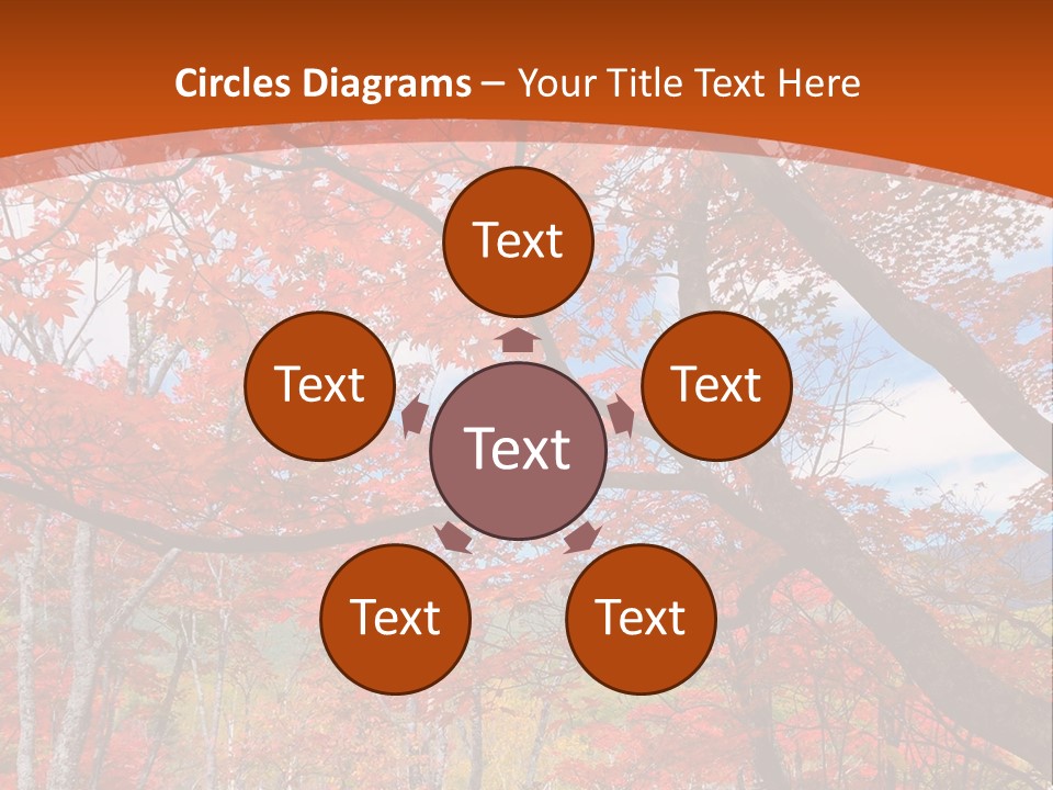 Pond Japanese Maple Orange PowerPoint Template