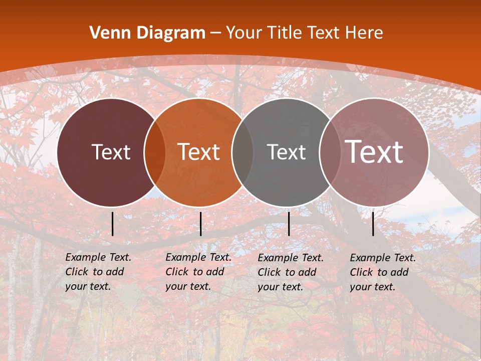 Pond Japanese Maple Orange PowerPoint Template