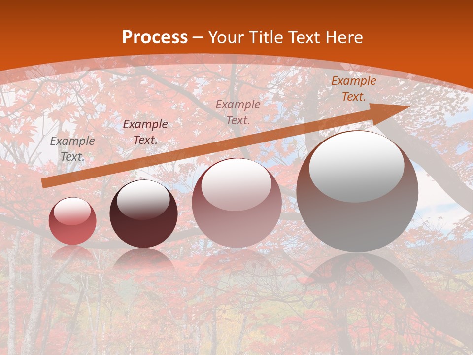 Pond Japanese Maple Orange PowerPoint Template