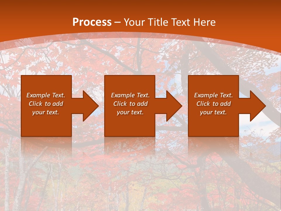 Pond Japanese Maple Orange PowerPoint Template