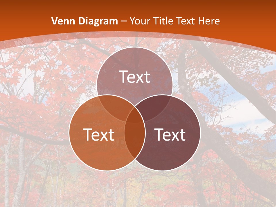 Pond Japanese Maple Orange PowerPoint Template