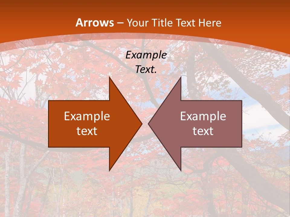 Pond Japanese Maple Orange PowerPoint Template