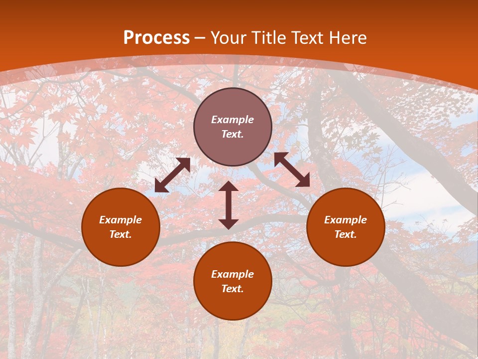 Pond Japanese Maple Orange PowerPoint Template