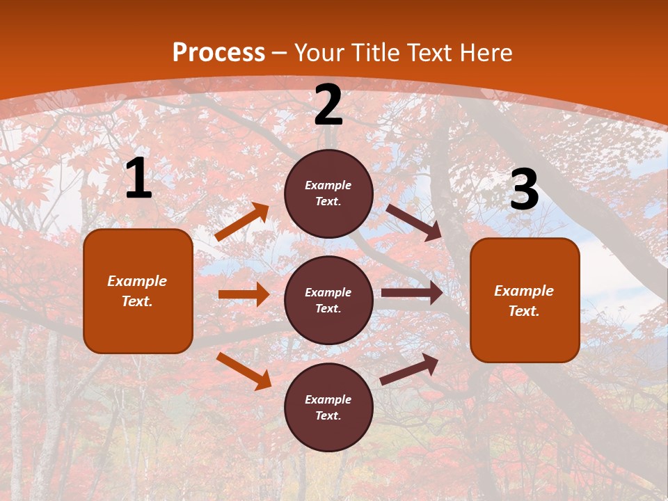 Pond Japanese Maple Orange PowerPoint Template
