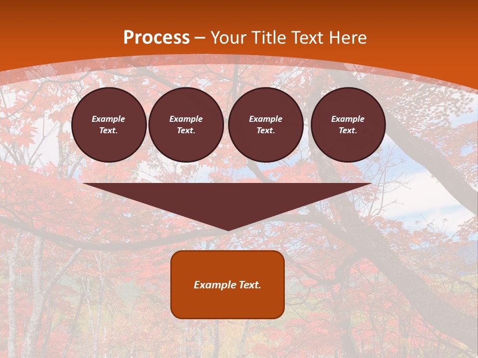Pond Japanese Maple Orange PowerPoint Template