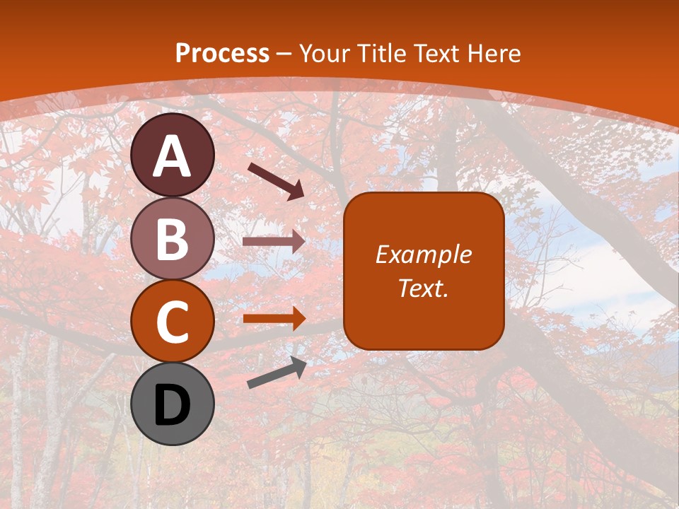 Pond Japanese Maple Orange PowerPoint Template