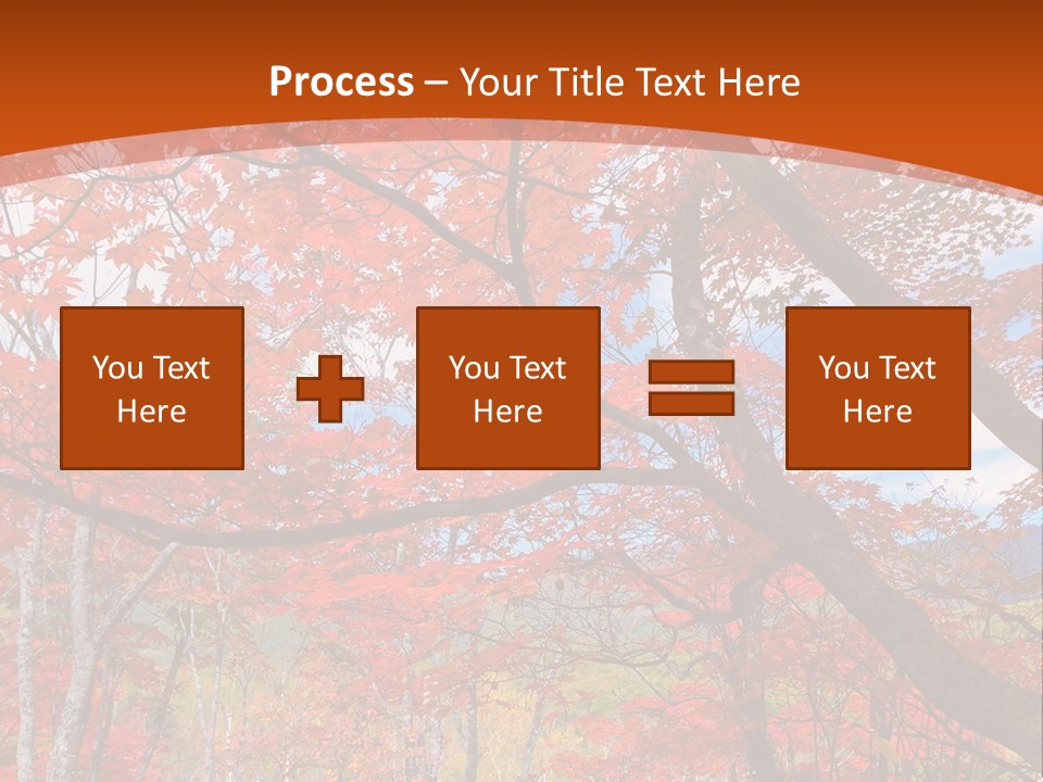 Pond Japanese Maple Orange PowerPoint Template