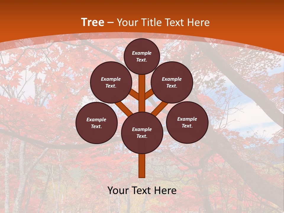 Pond Japanese Maple Orange PowerPoint Template