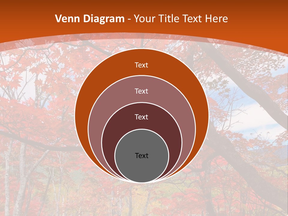 Pond Japanese Maple Orange PowerPoint Template