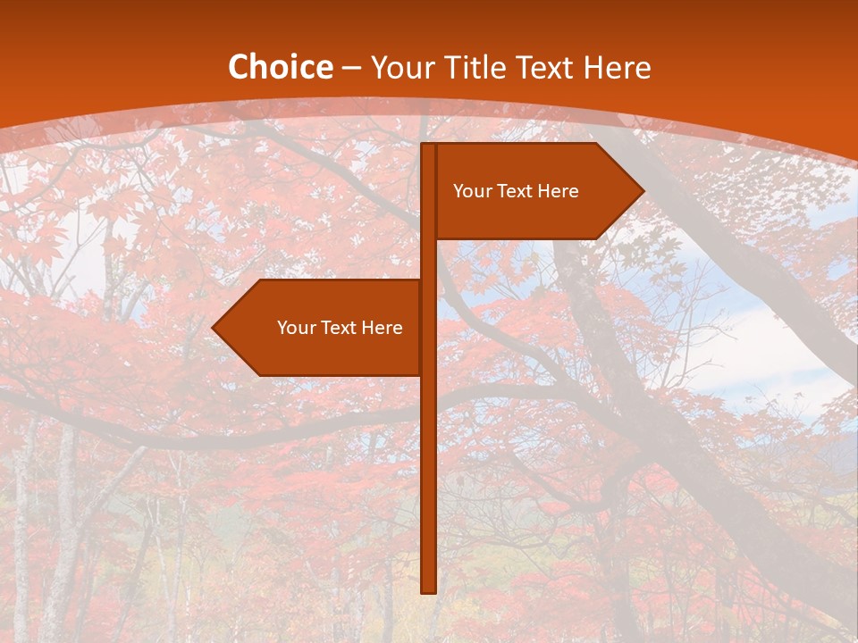 Pond Japanese Maple Orange PowerPoint Template