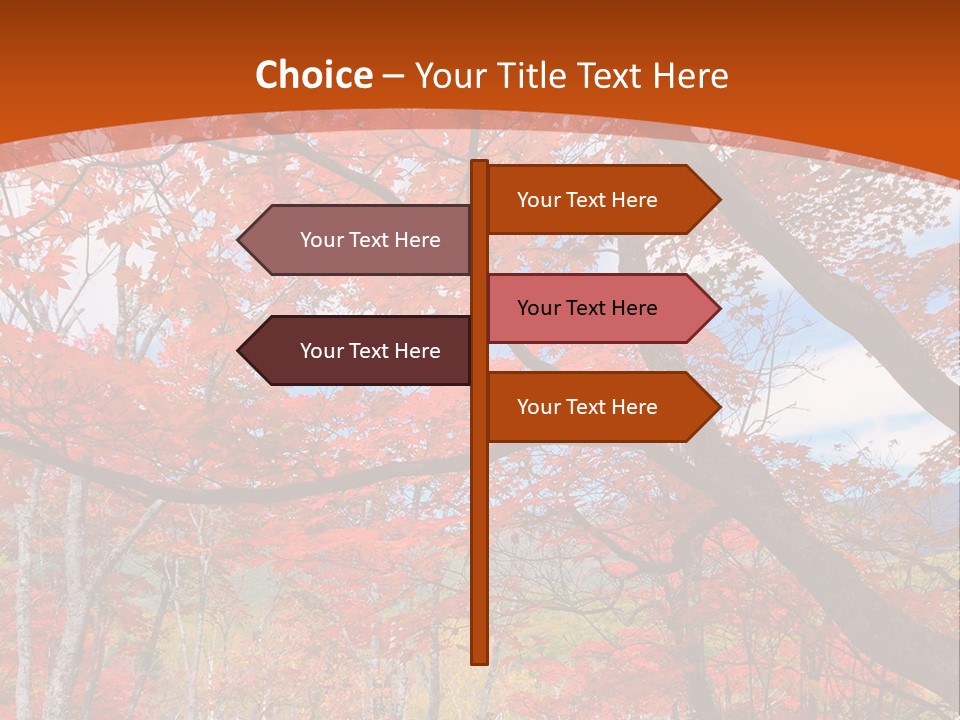 Pond Japanese Maple Orange PowerPoint Template